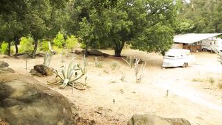 Daisy Taylor Fucks Her New Stepbrother - Genderx