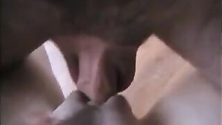 Big Dick Fucking A Tight Pussy In Close Up Action